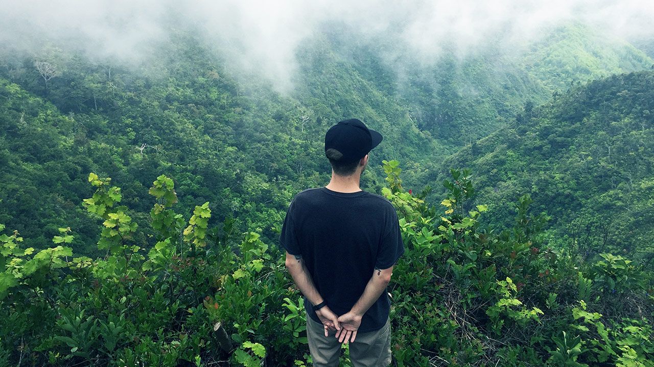 Black River Gorges National Park Day Drive