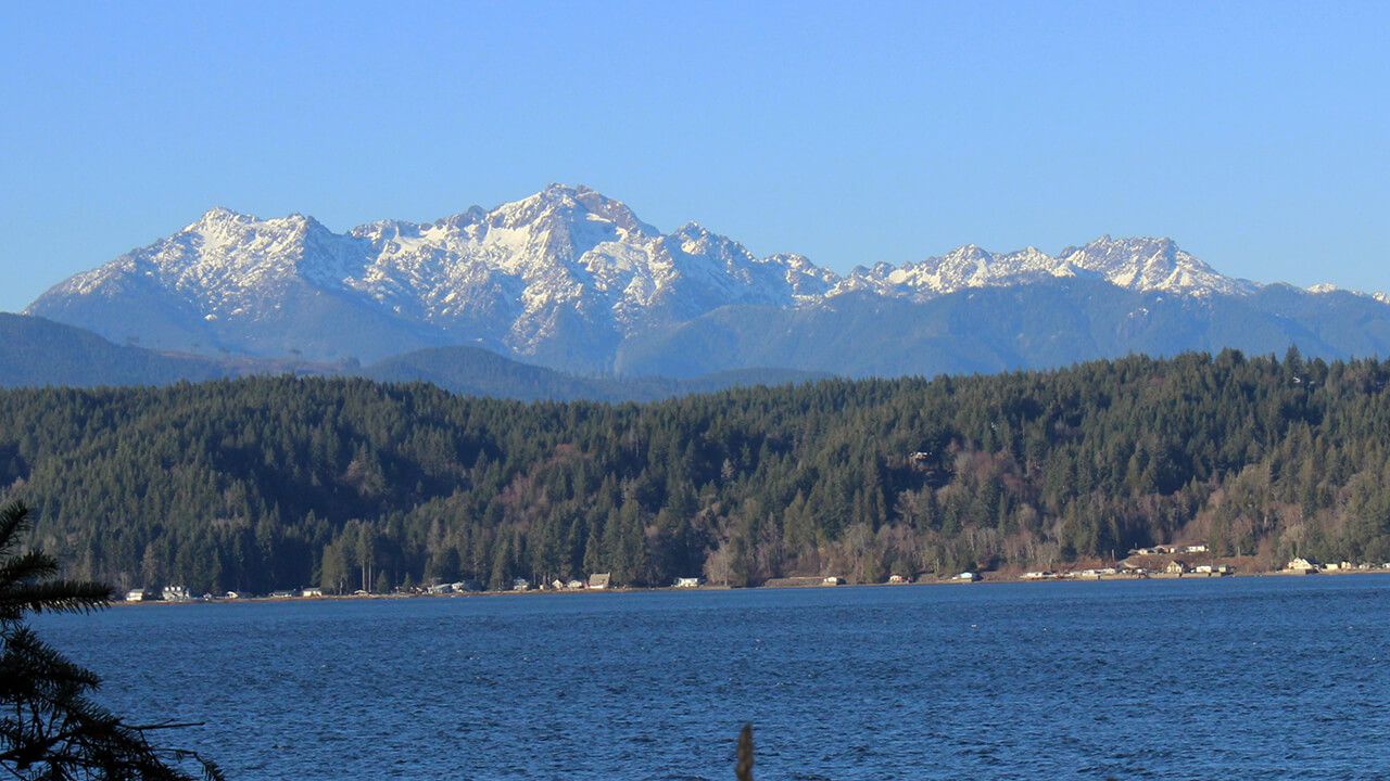 Christmas Trip to Olympic National Park