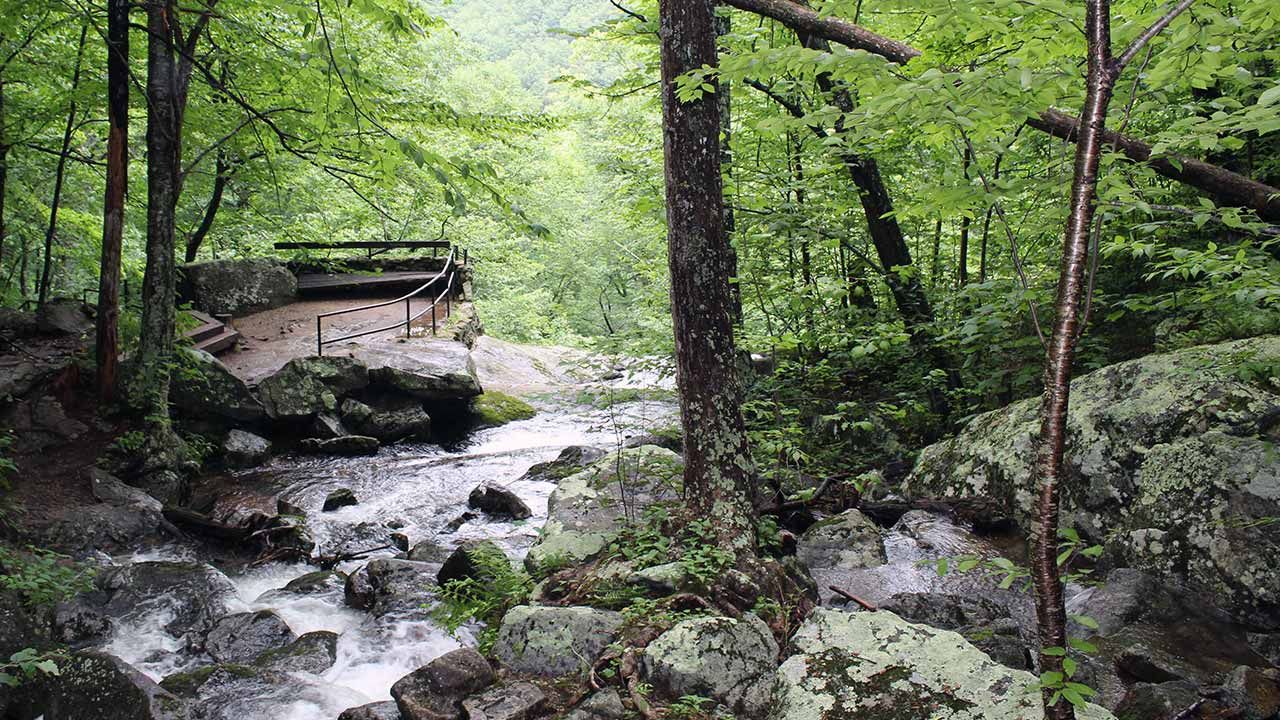 Climbing Crabtree Falls