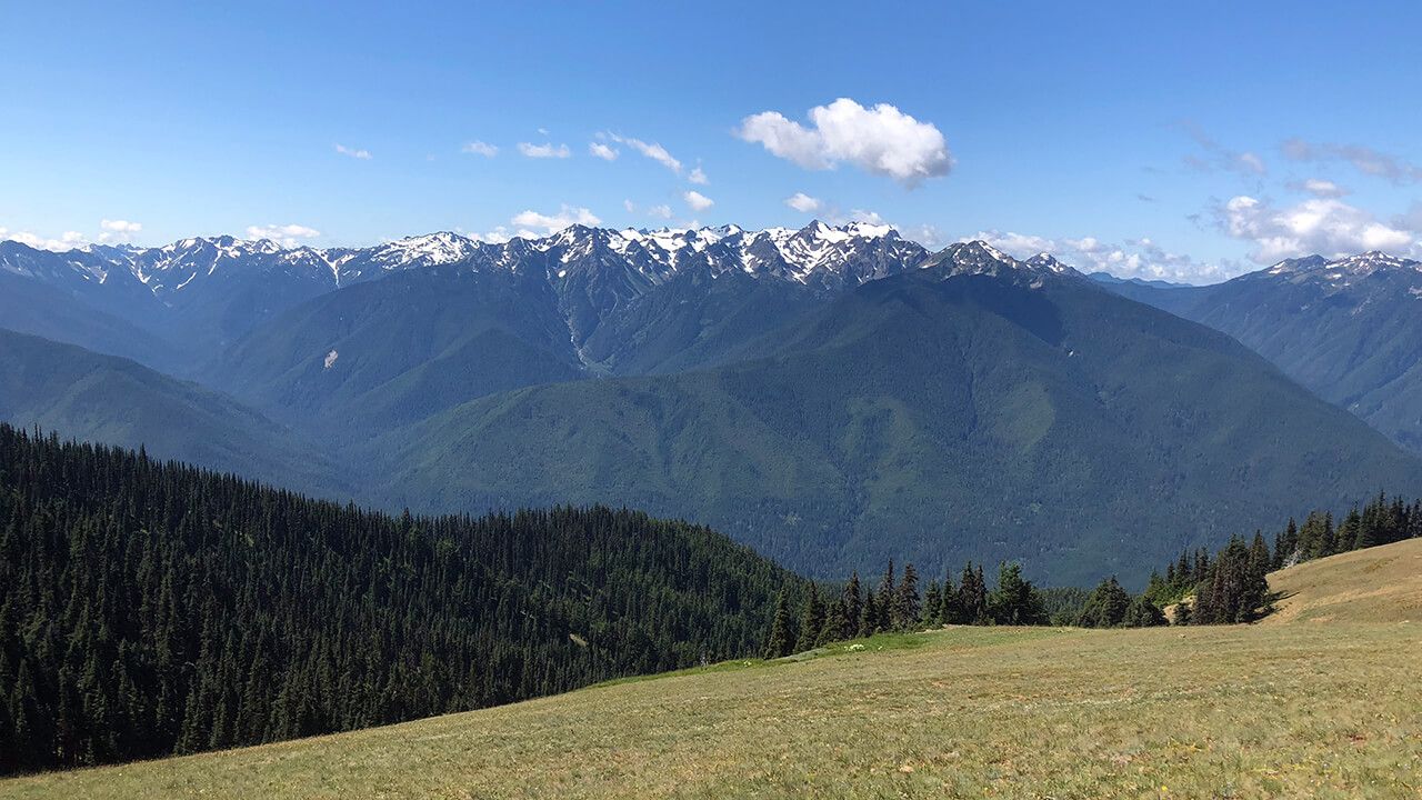 Hurricane Ridge