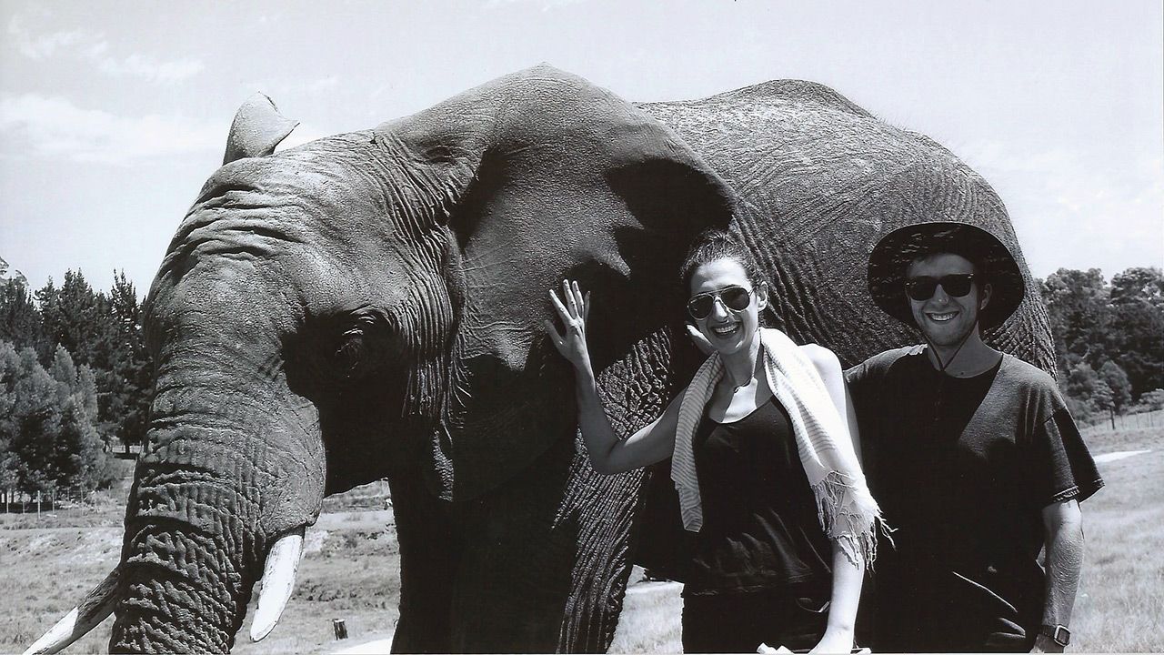 Knysna Elephant Park