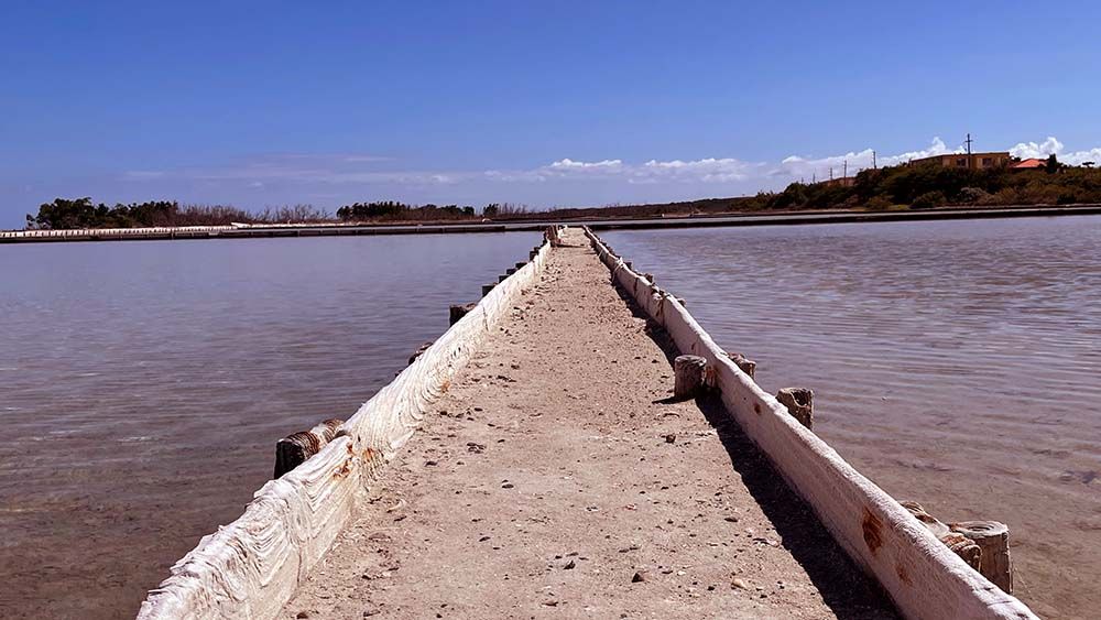 Path walking through Cabo Rojo in Puerto Rico