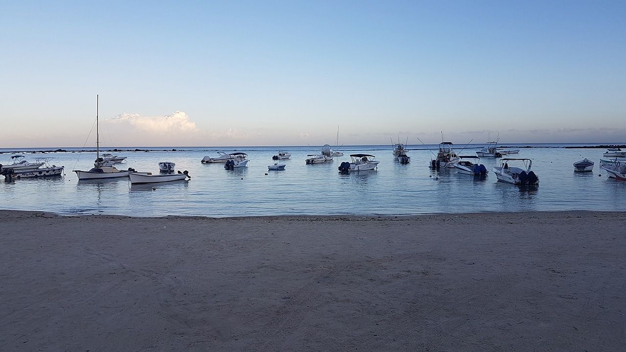 Big Game Fishing Mauritius