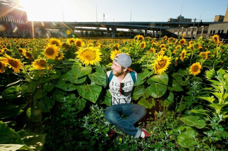 B. Youngz chillen in the sunflower fields