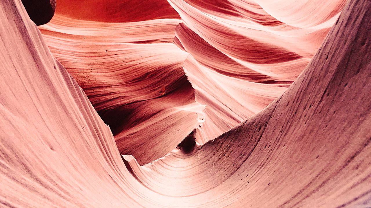 Page Arizona's Awesomeness