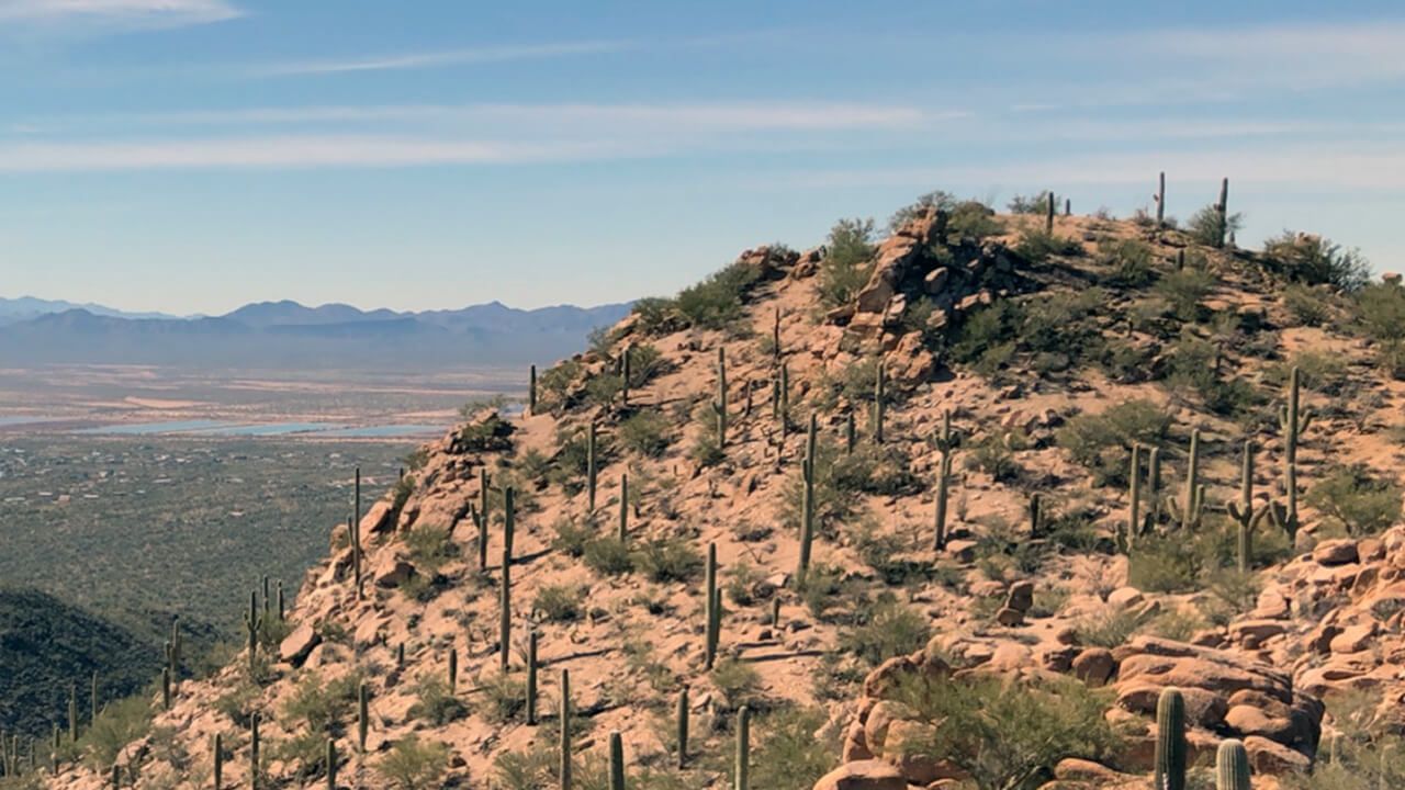 Wasson Peak at Saguaro National Park