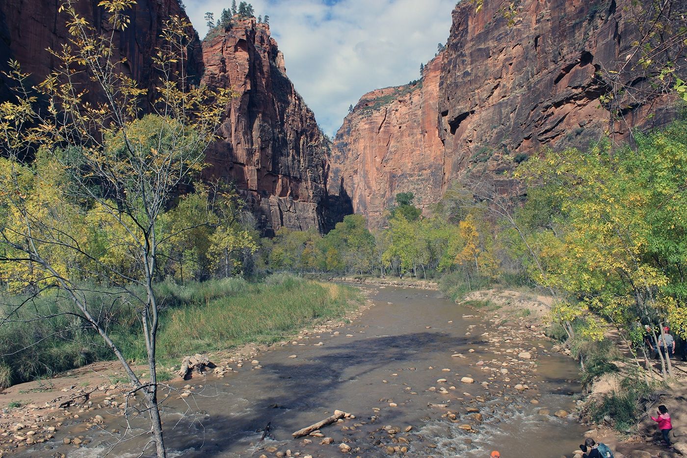 The Narrows in Zion National Park